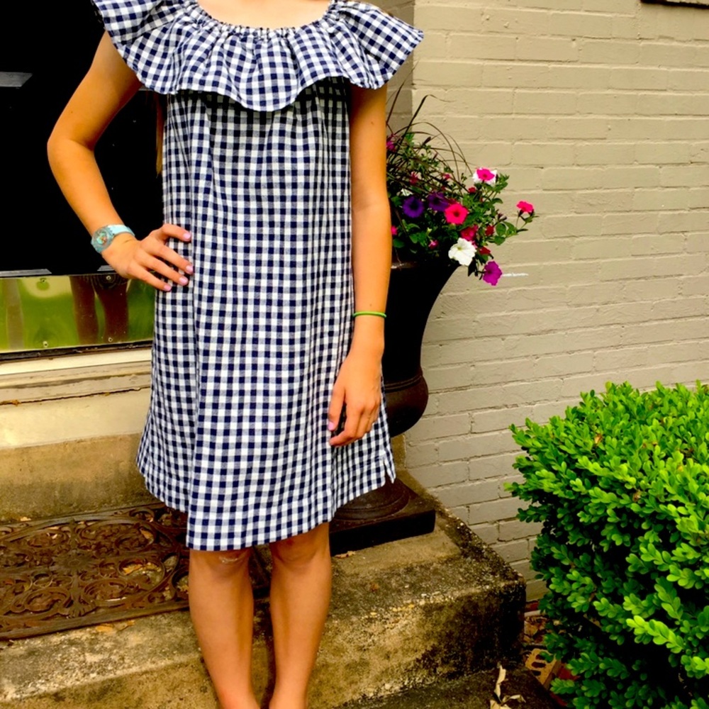 Crewcuts Blue and White Gingham Dress